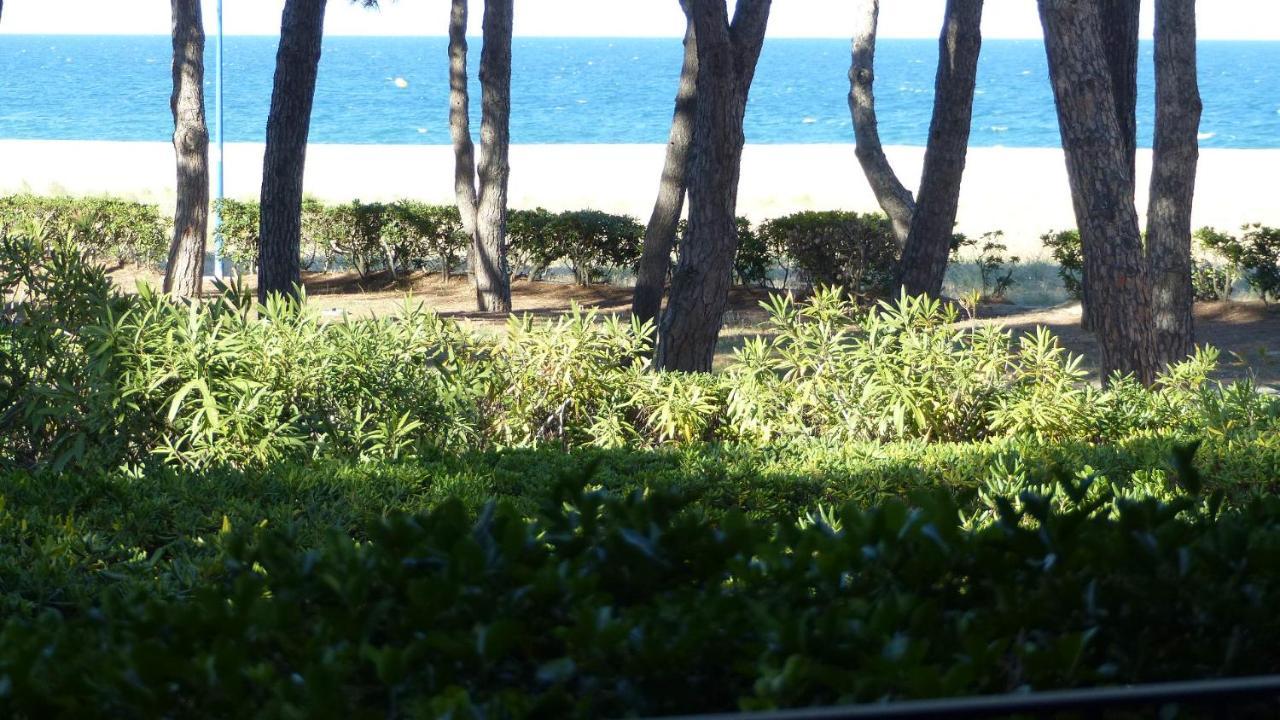 Belle Vue Au Calme Sur La Plage Argelès-sur-Mer Exteriör bild